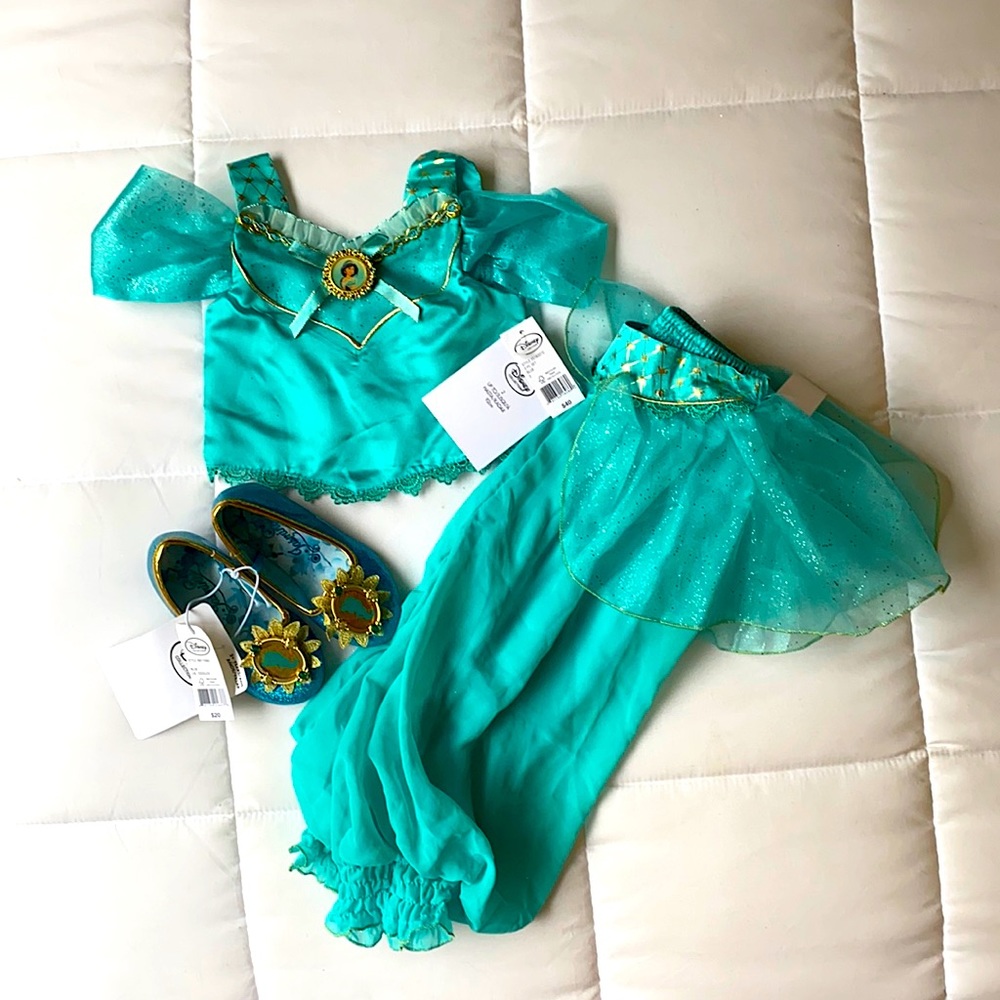 Disney Jasmine Costume